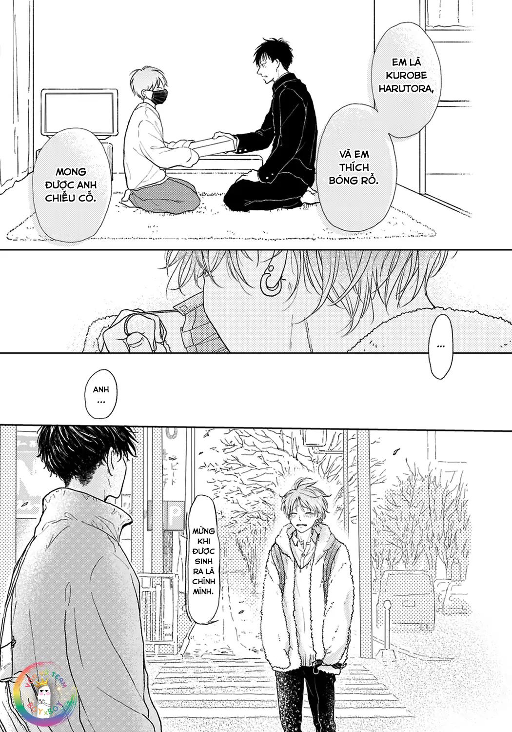 Đọc truyện Đợi Chút Đã, Harutora-kun (END) - Chapter 4