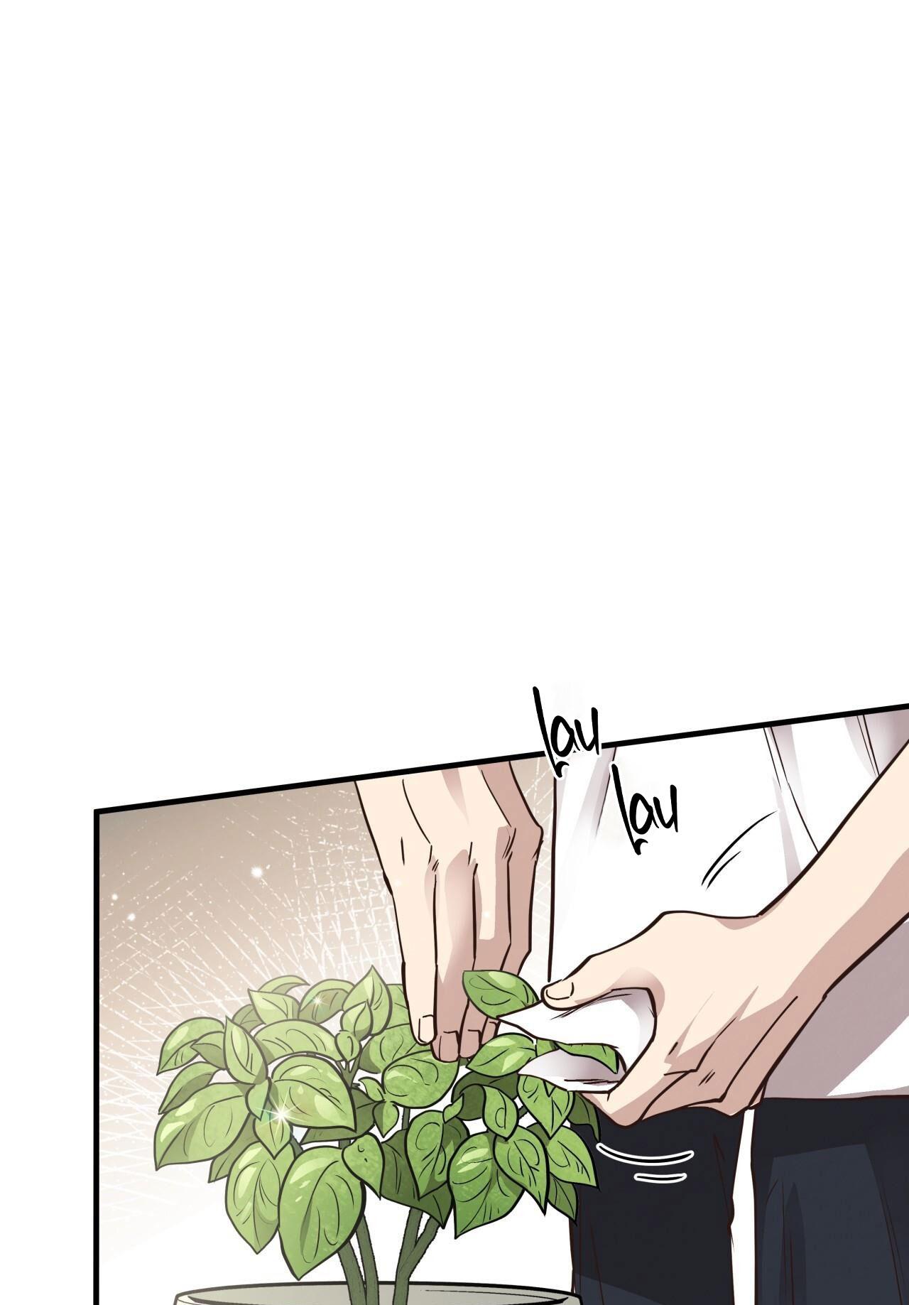 Đọc truyện HONEY BEAR - Chapter 52