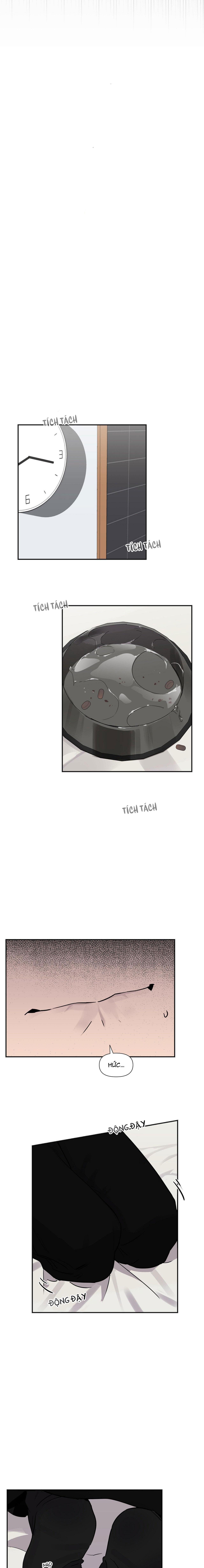 Đọc truyện XIỀNG XÍCH HOÀN MỸ - Chapter 2