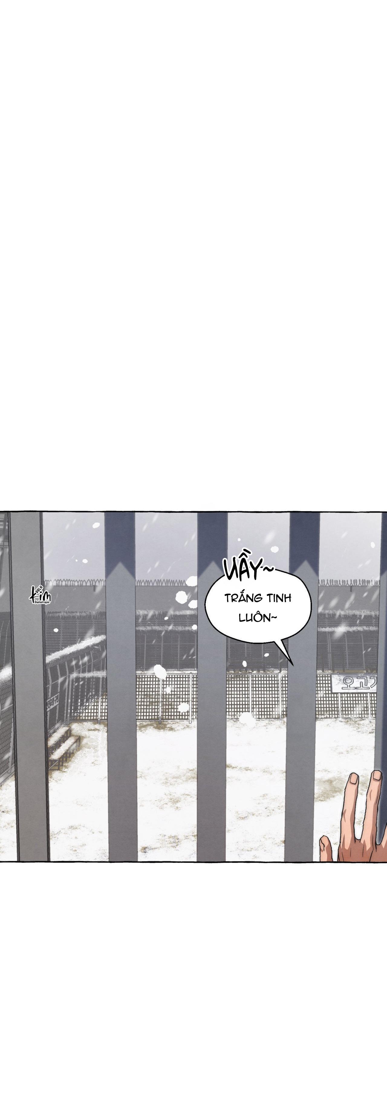 Đọc truyện NHỮNG CON CHÓ TRONG TÙ - Chapter 47