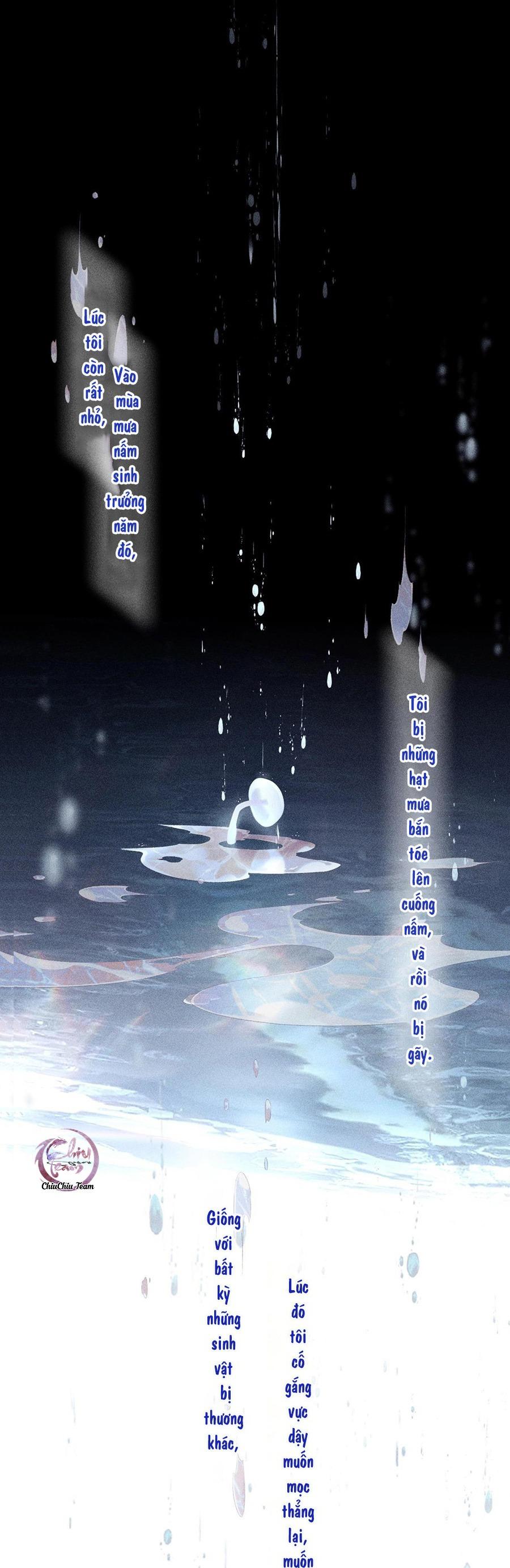 Đọc truyện Cây Nấm Nhỏ - Chapter 10
