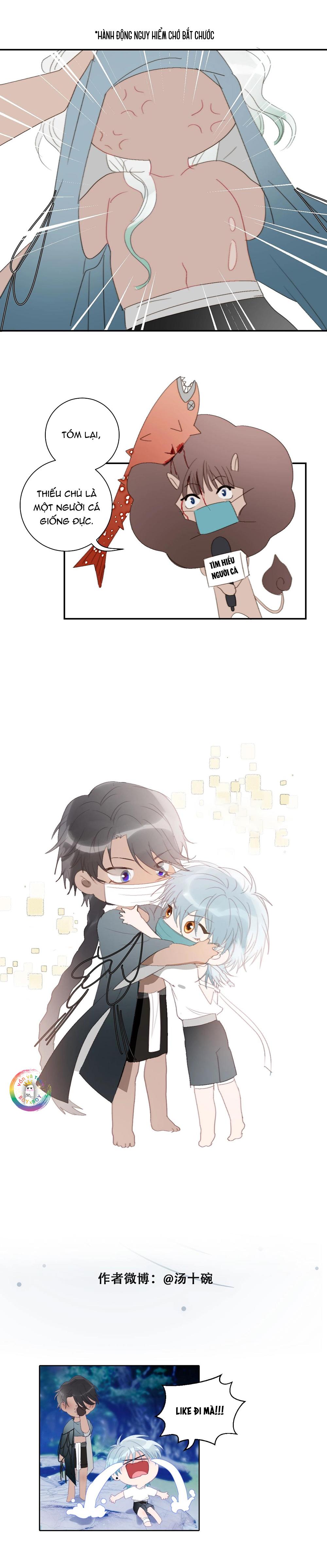 Đọc truyện Quanh Năm Có Cá - Chapter 31