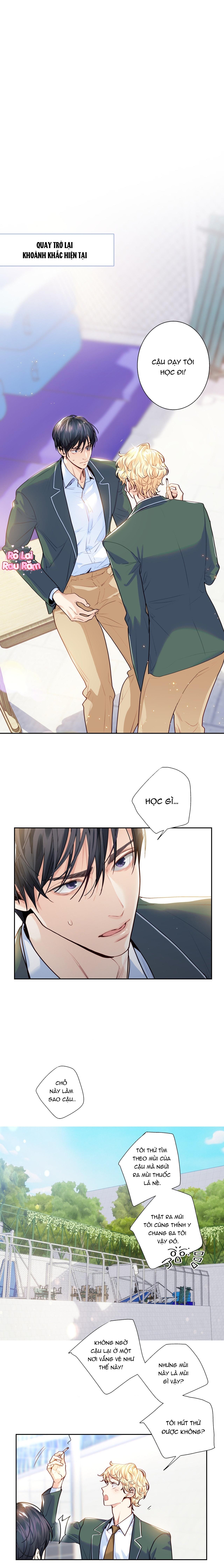 Đọc truyện TÌNH YÊU LÀ ẢO TƯỞNG - Chapter 11