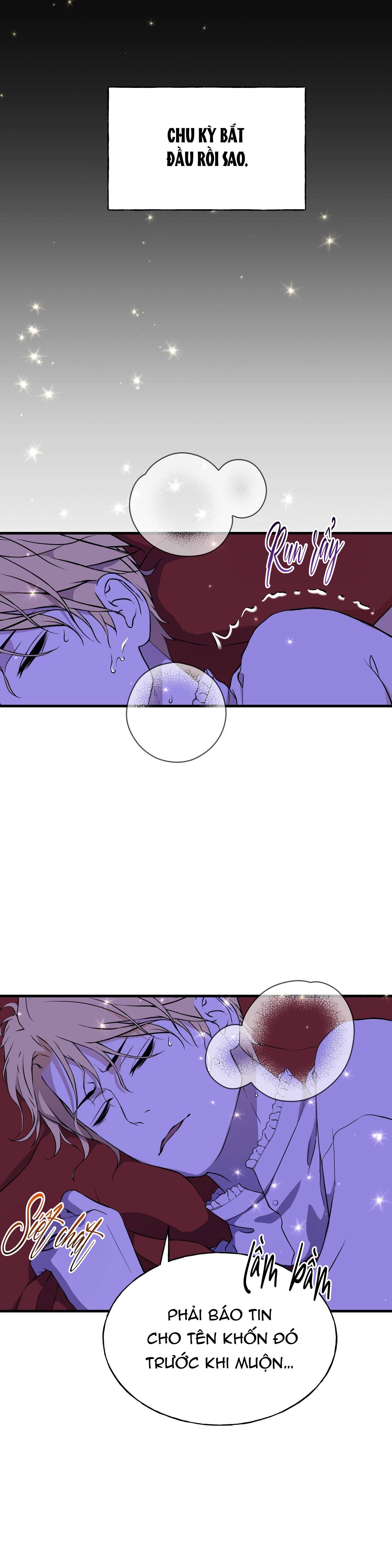 Đọc truyện (ABO) ĐÁM CƯỚI HOÀNG GIA - Chapter 5