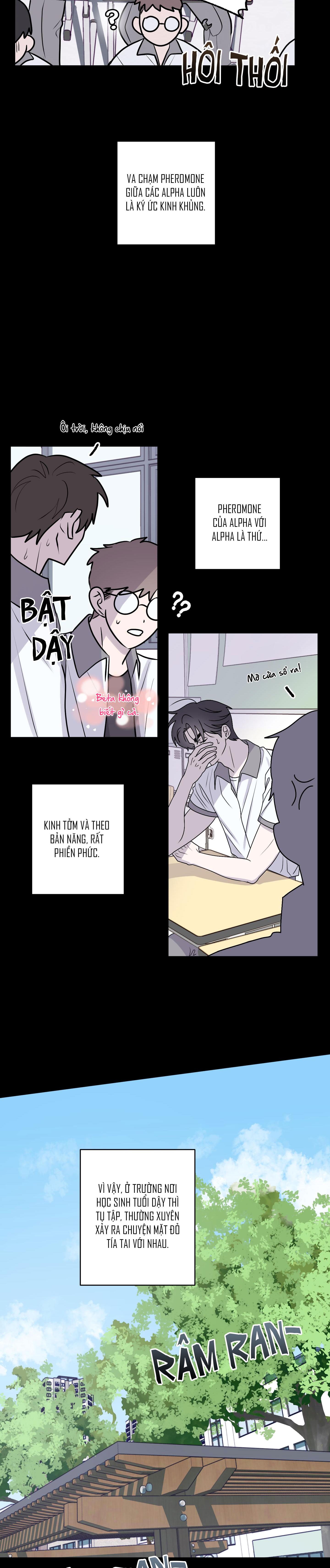 Đọc truyện CHUYỆN TÌNH ALPHA - Chapter 1