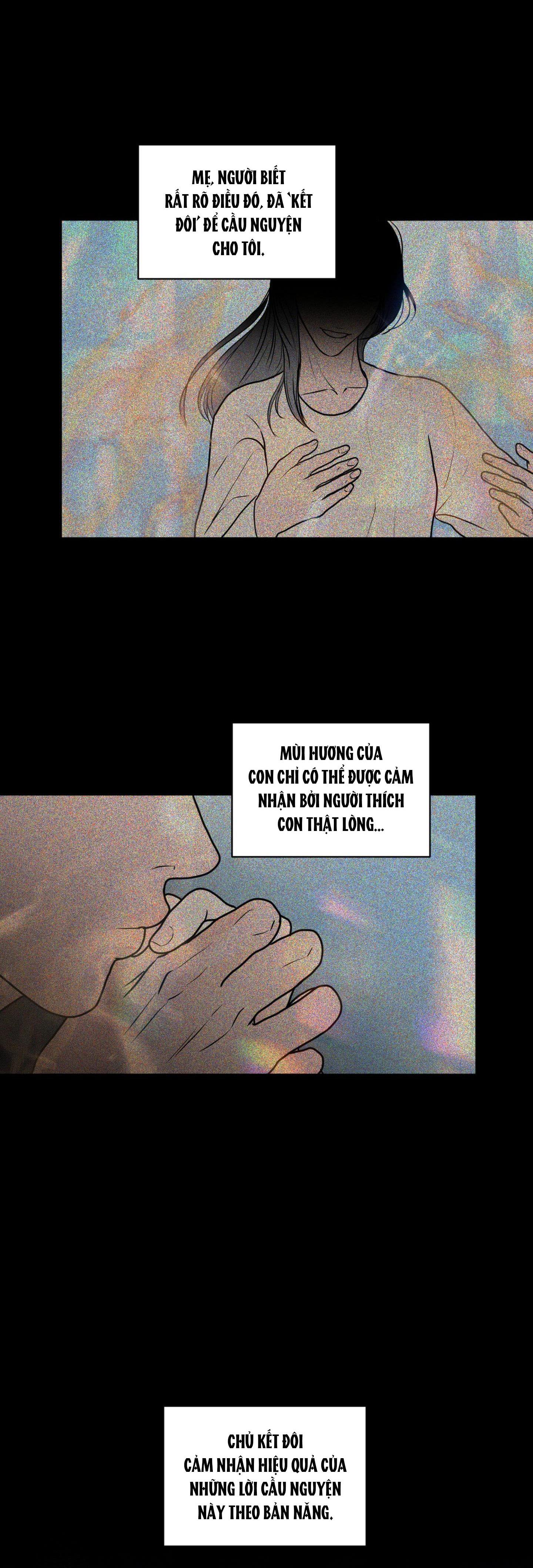 Đọc truyện (ABO) LỜI CẦU NGUYỆN - Chapter 43