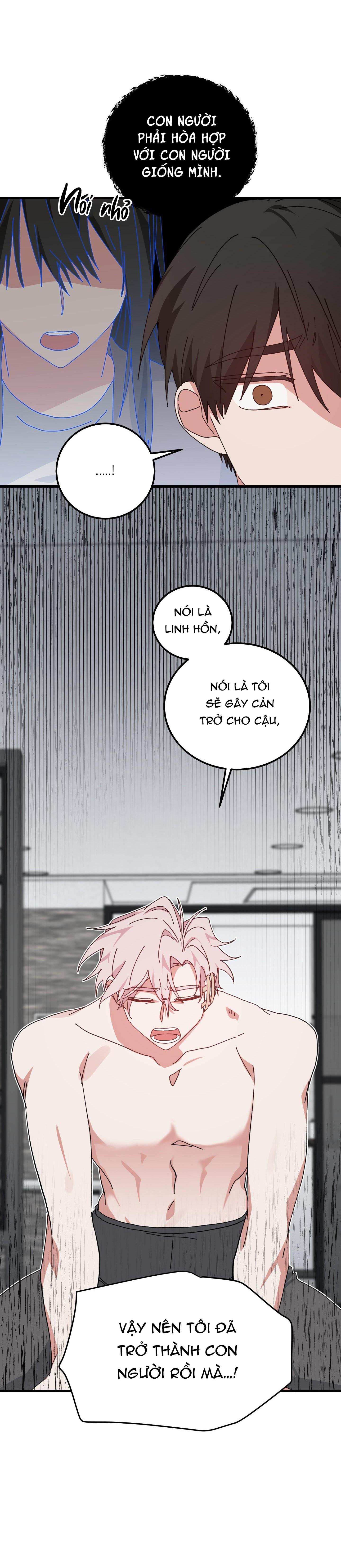 Đọc truyện YÊU TÔI ĐI, THẦN HỘ MỆNH - Chapter 51