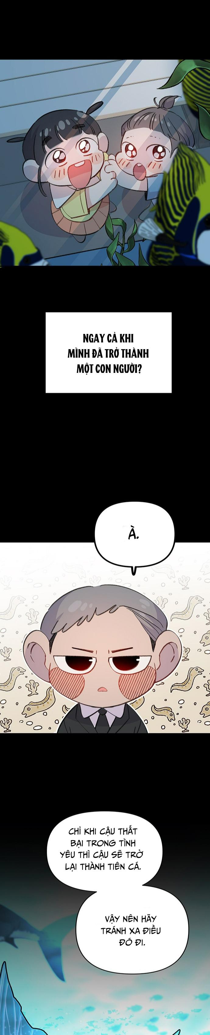 Đọc truyện Chàng tiên cá tôi yêu - Chapter 4