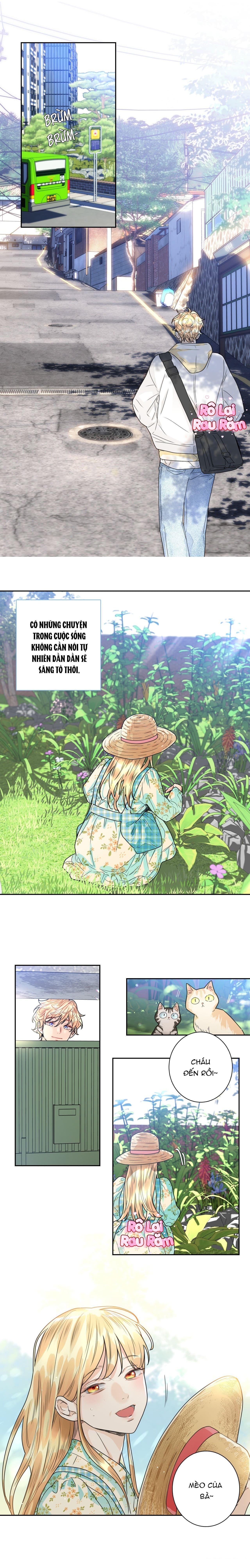 Đọc truyện TÌNH YÊU LÀ ẢO TƯỞNG - Chapter 4