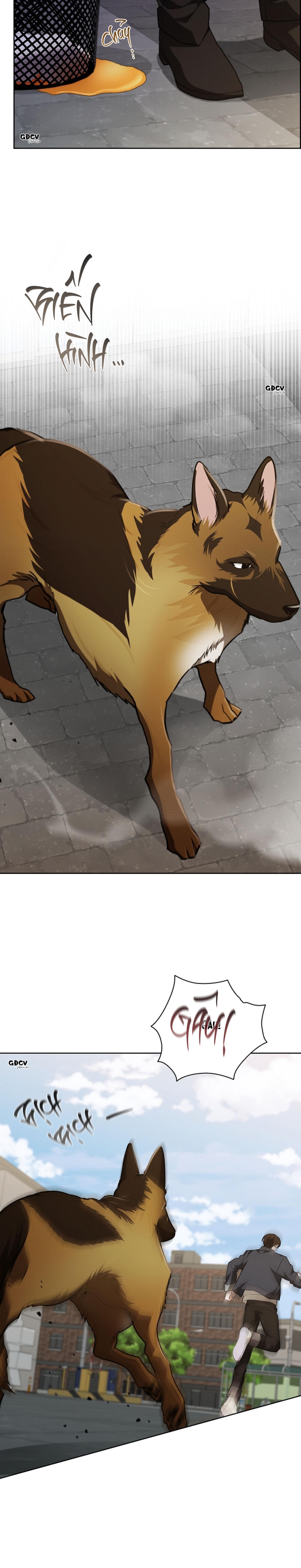 Đọc truyện ĐỪNG CHẠM VÀO CÚN CON CỦA TÔI - Chapter 23