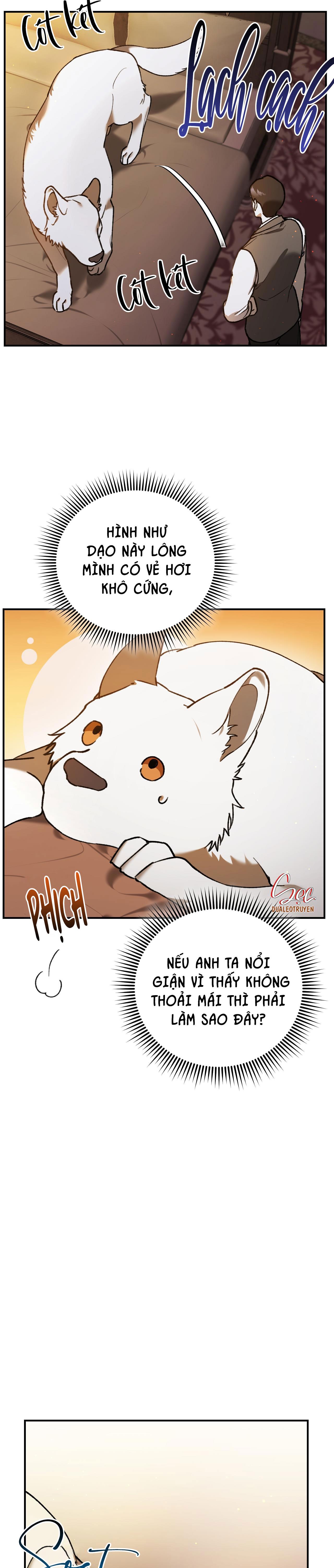 Đọc truyện SÓI TRONG LỒNG - Chapter 3