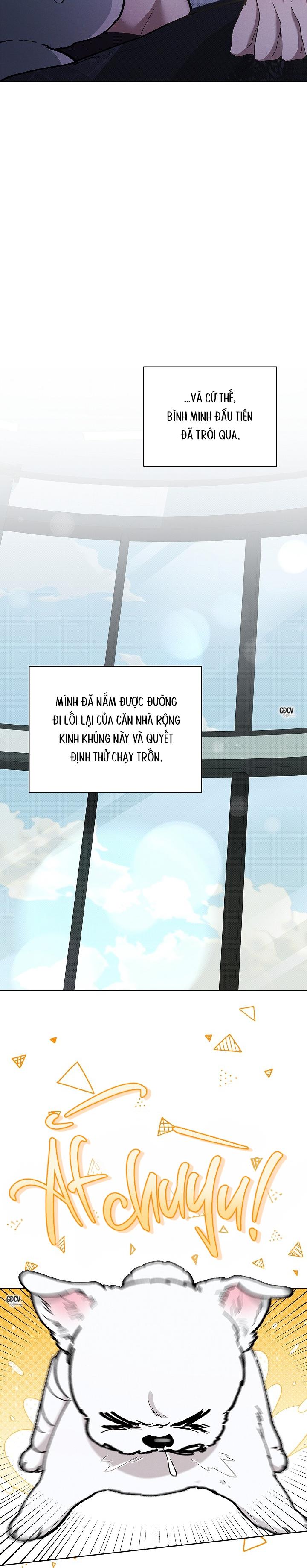 Đọc truyện ĐỪNG CHẠM VÀO CÚN CON CỦA TÔI - Chapter 4