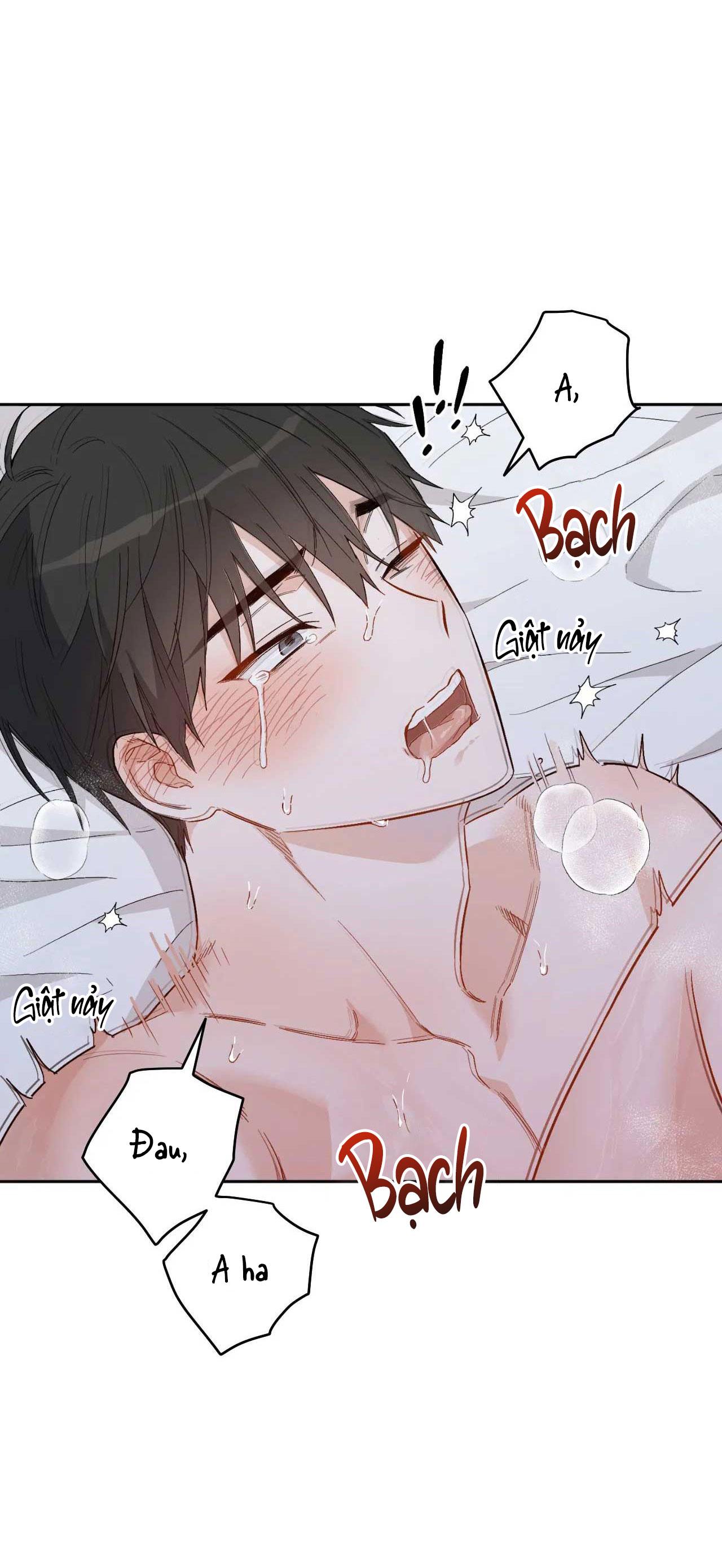 Đọc truyện VẬN MỆNH CỦA CẬU LÀ GÌ? - Chapter 3