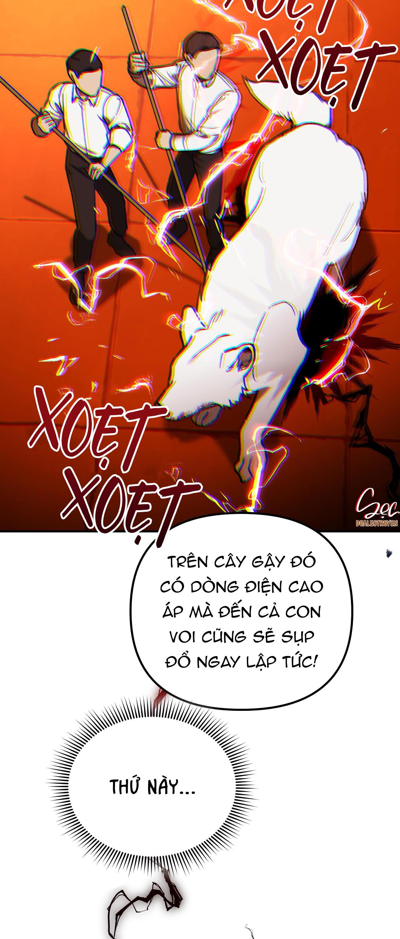 Đọc truyện SÓI TRONG LỒNG - Chapter 4