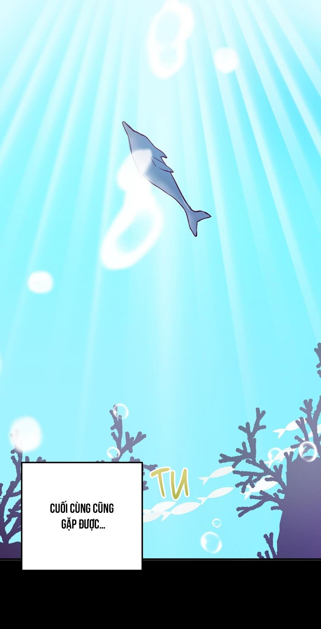 Đọc truyện CHUYỆN TÌNH ĐẢO HOANG - Chapter 32