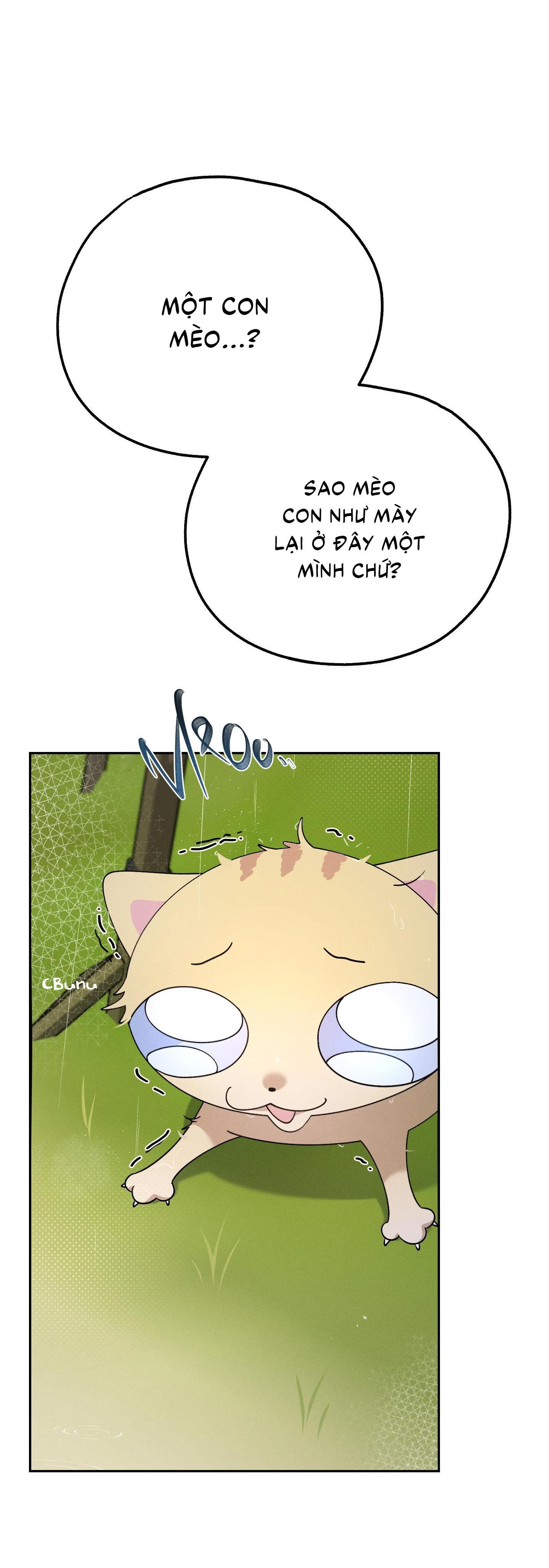 Đọc truyện Extra Virgin - Chapter 5