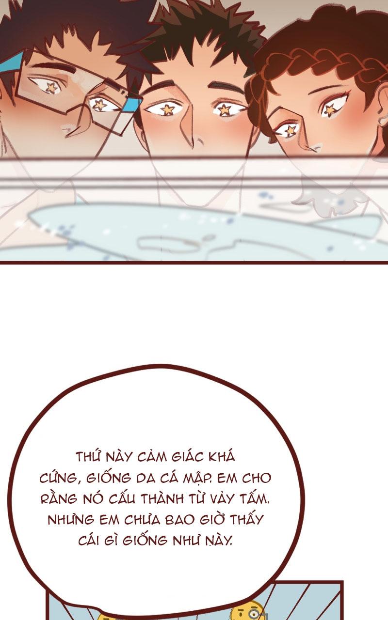 Đọc truyện BAILIN AND LIYUN ( NEW SS ) - Chapter 62