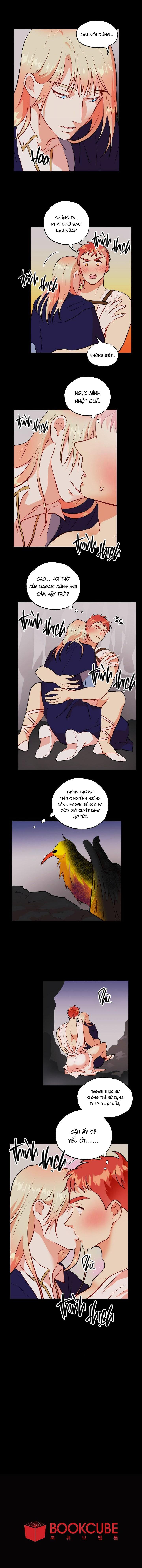 Đọc truyện Phù Thủy Gợi Tình - Chapter 71