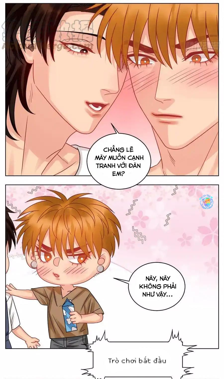 Đọc truyện Ký túc xá nam phòng 303 - Chapter 216