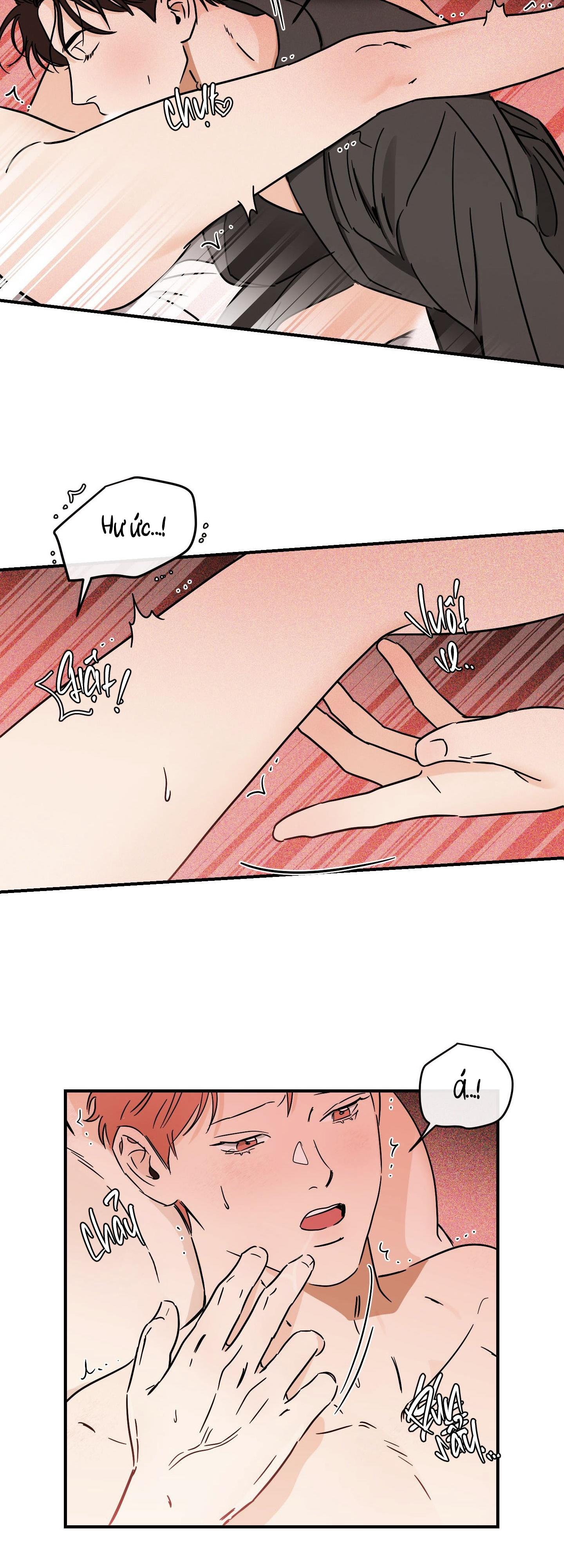 Đọc truyện CÁ MINH THÁI KHÔ QUẮT RỒI! - Chapter 31