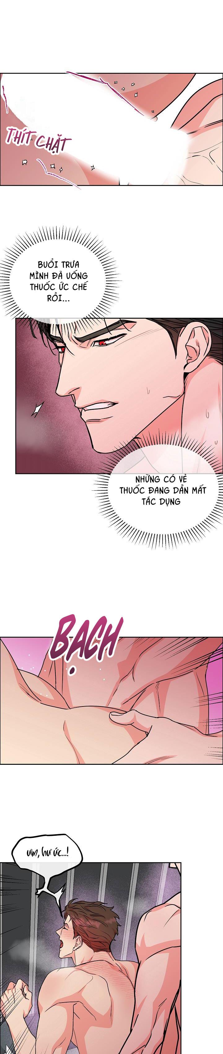 Đọc truyện CHÓ VÀ CHIM - Chapter 25