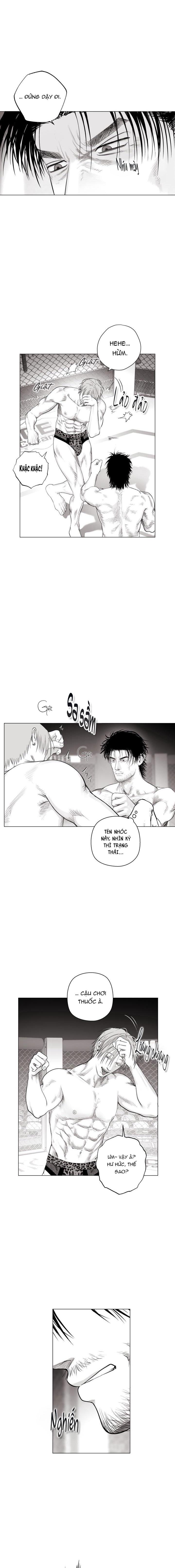 Đọc truyện NHÀ VÔ ĐỊCH NGOAN CƯỜNG - Chapter 8