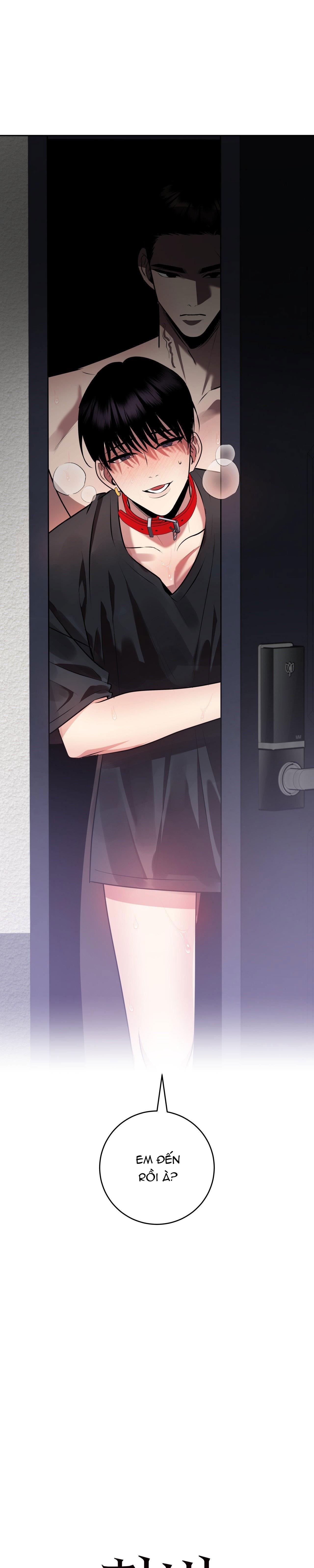 Đọc truyện ĐIỀU 260 BỘ LUẬT HÌNH SỰ - Chapter 10