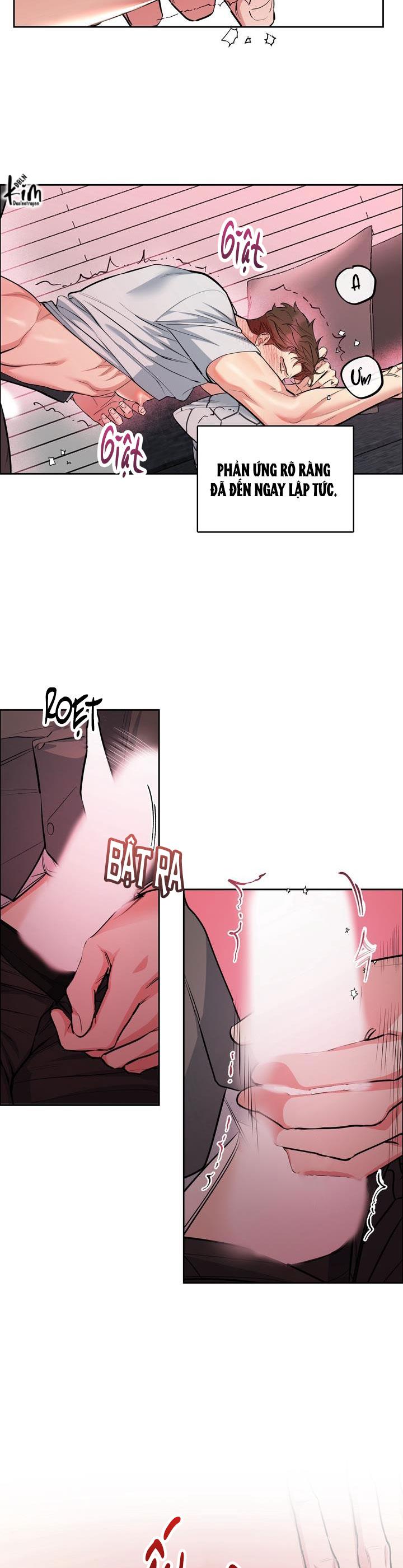 Đọc truyện CHÓ VÀ CHIM - Chapter 28