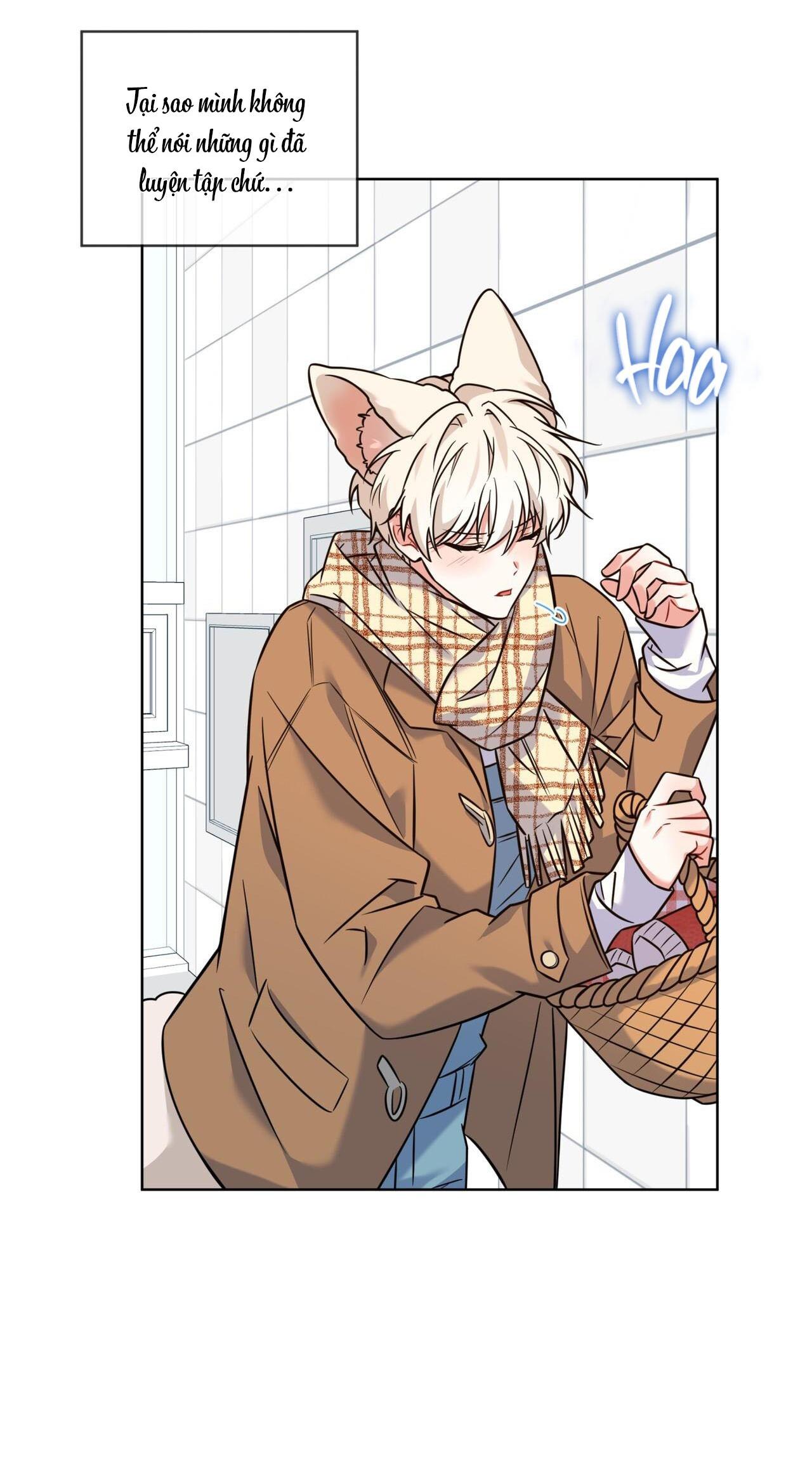 Đọc truyện |DROP| Tiệm đồ uống của cáo Flynn - Chapter 12