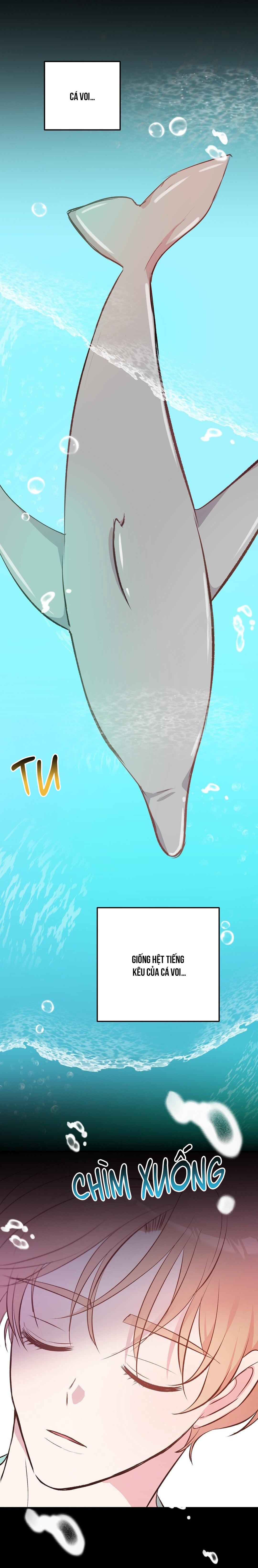 Đọc truyện CHUYỆN TÌNH ĐẢO HOANG - Chapter 32