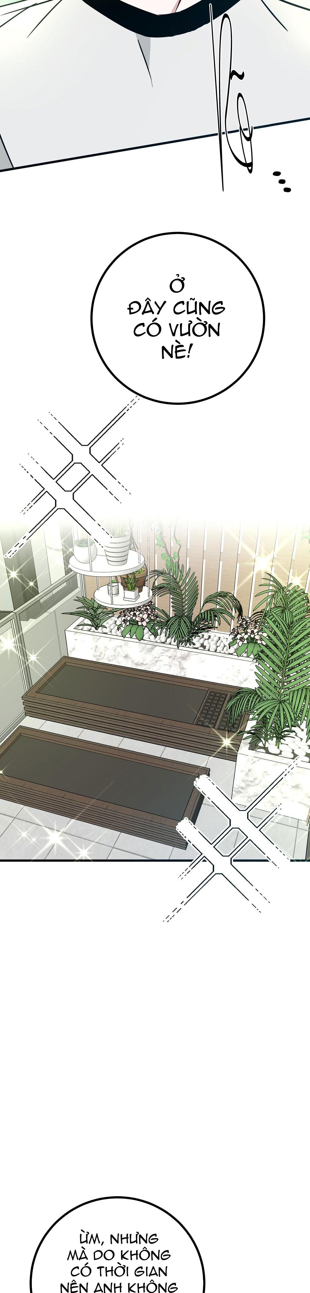 Đọc truyện NHÀ TÔI THÀNH PHIM TRƯỜNG MẤT RỒI - Chapter 21