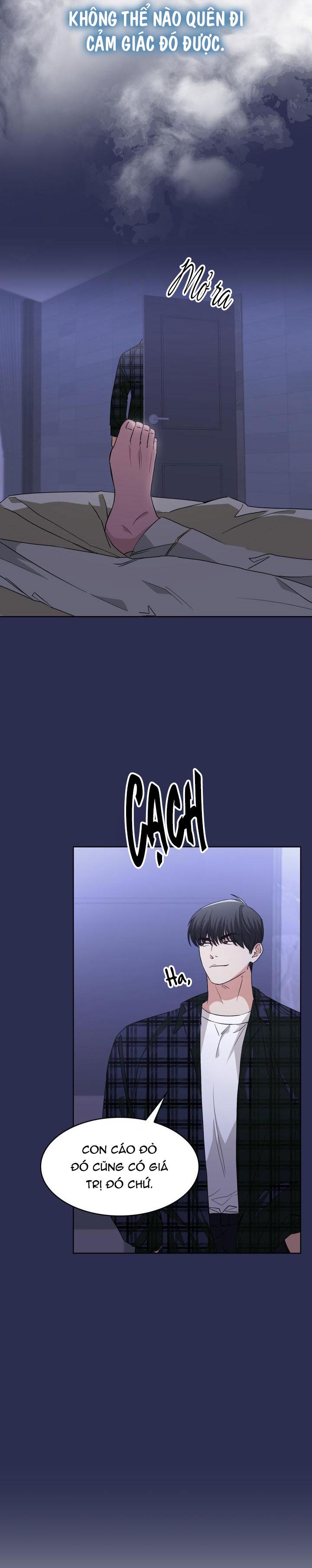 Đọc truyện SĂN CÁO - Chapter 6