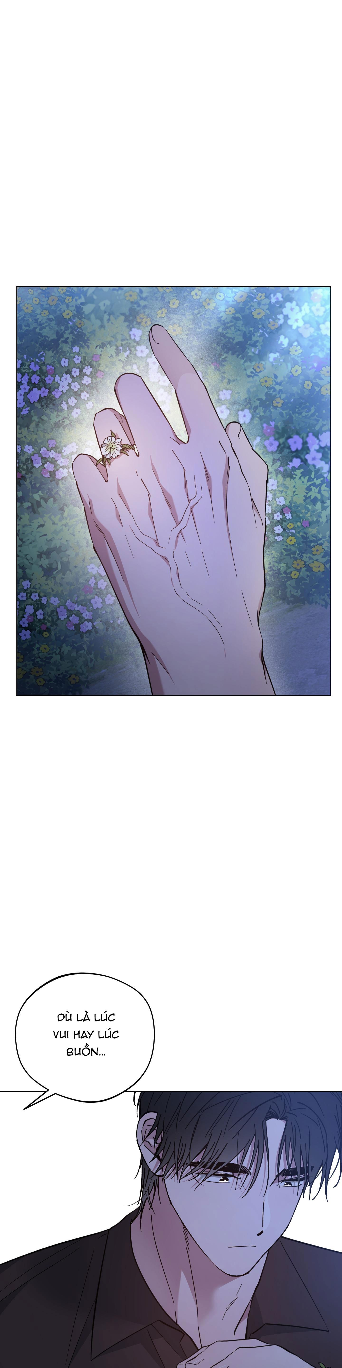 Đọc truyện BÌNH MINH CỦA RỒNG - Chapter 72