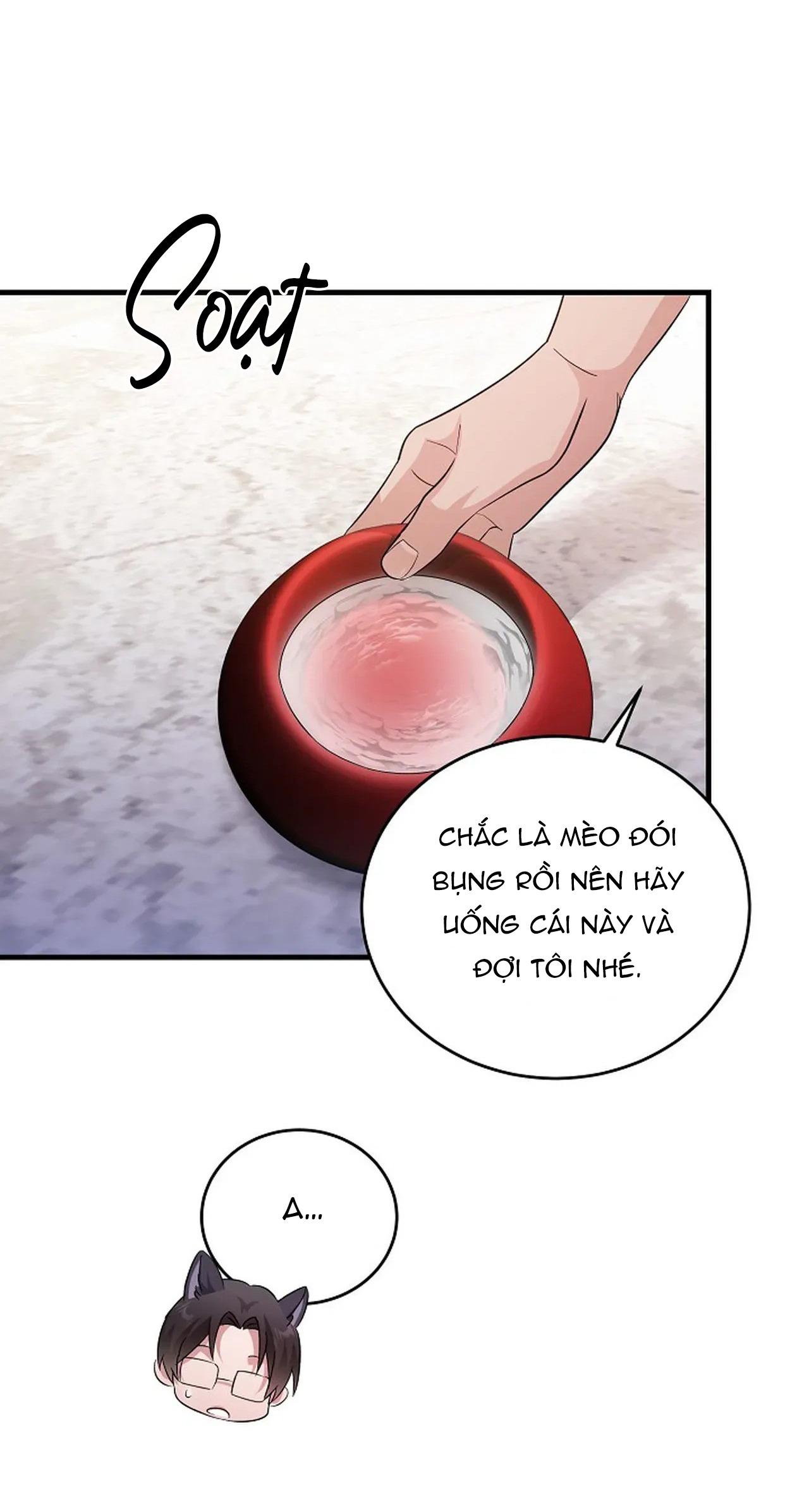 Đọc truyện RIVER OF BONDAGE - Chapter 19