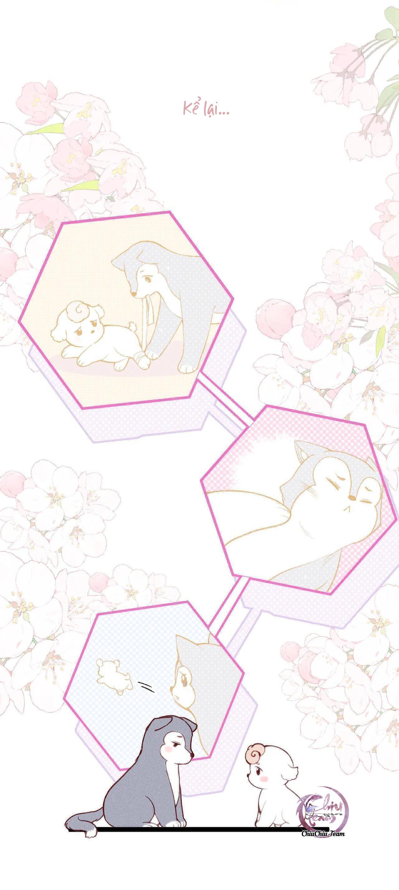 Đọc truyện Ngốc Nghếch Đáng Yêu - Chapter 8