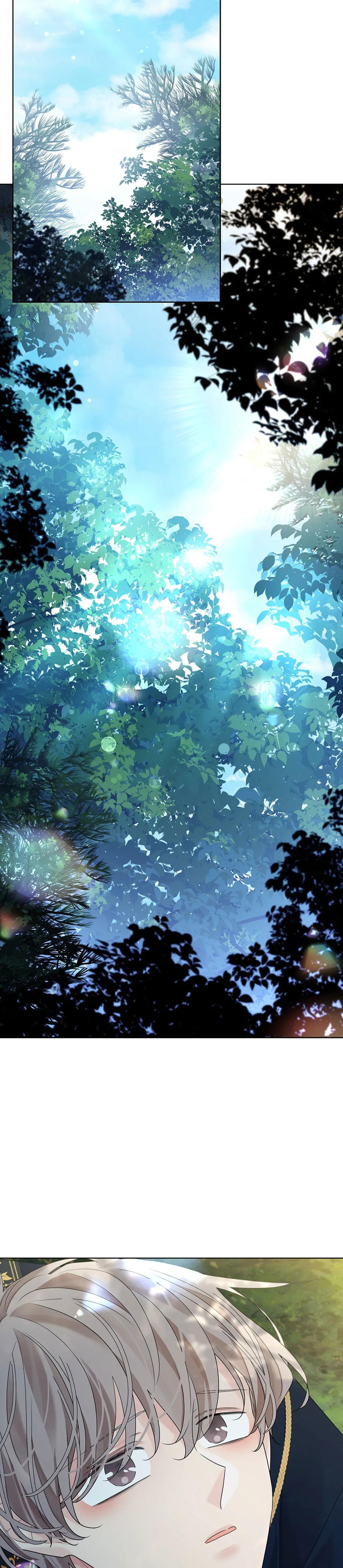 Đọc truyện HOA GIẤY - Chapter 100