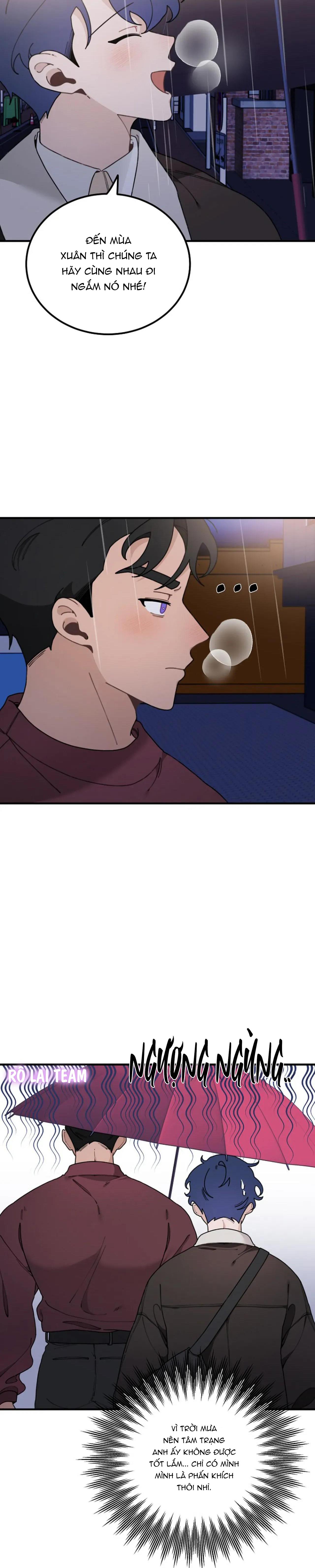 Đọc truyện Drop Hoàng Tử Thỏ Trên Cung Trăng - Chapter 13