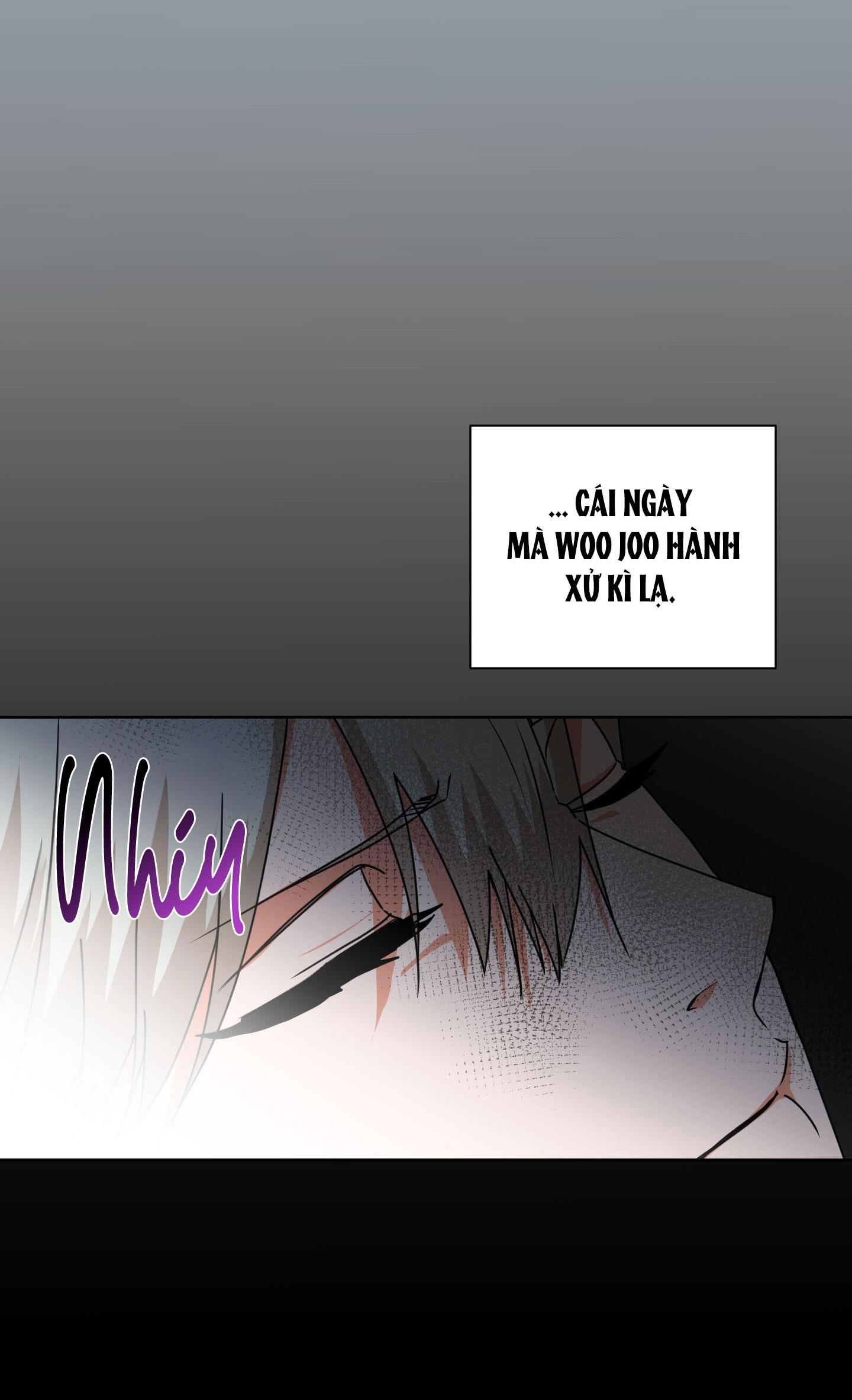 Đọc truyện Định Mệnh Sao?! - Chapter 13