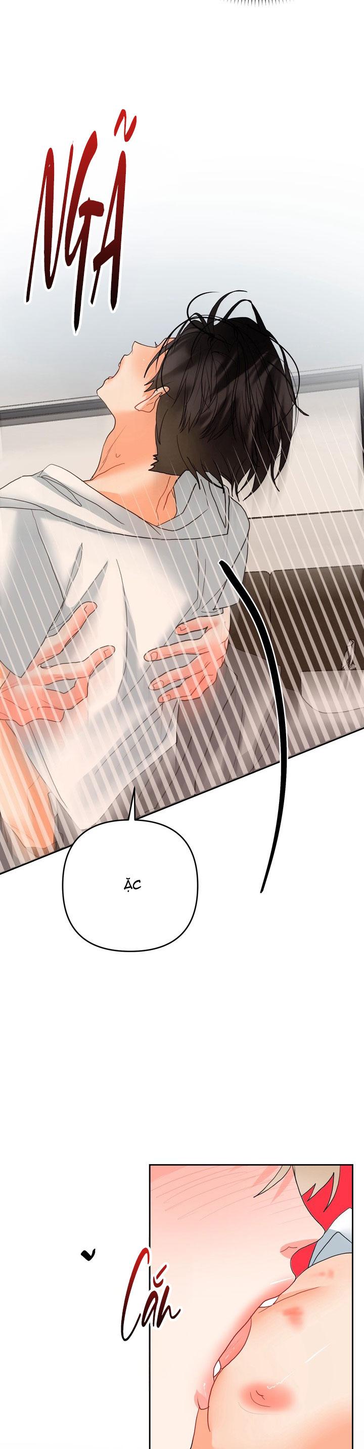 Đọc truyện (ABO) OMEGA CỦA ANH TRAI - Chapter 11