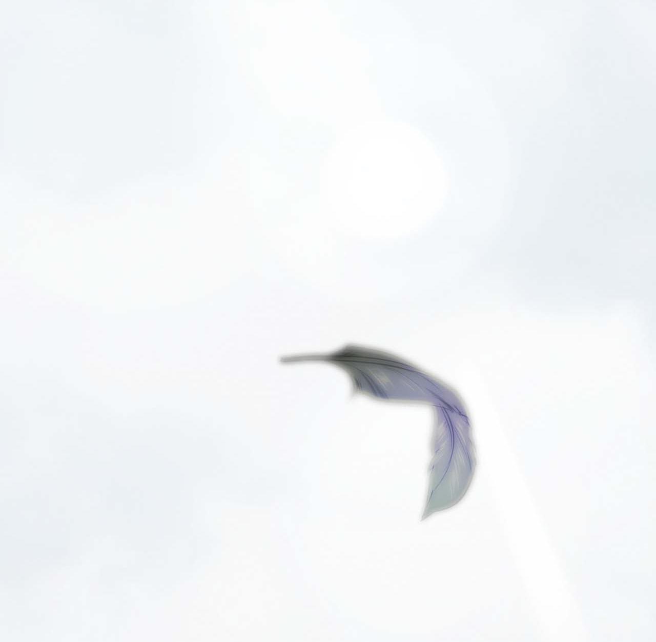 Đọc truyện Á NÔ 2 - THÁM HOA - Chapter 67