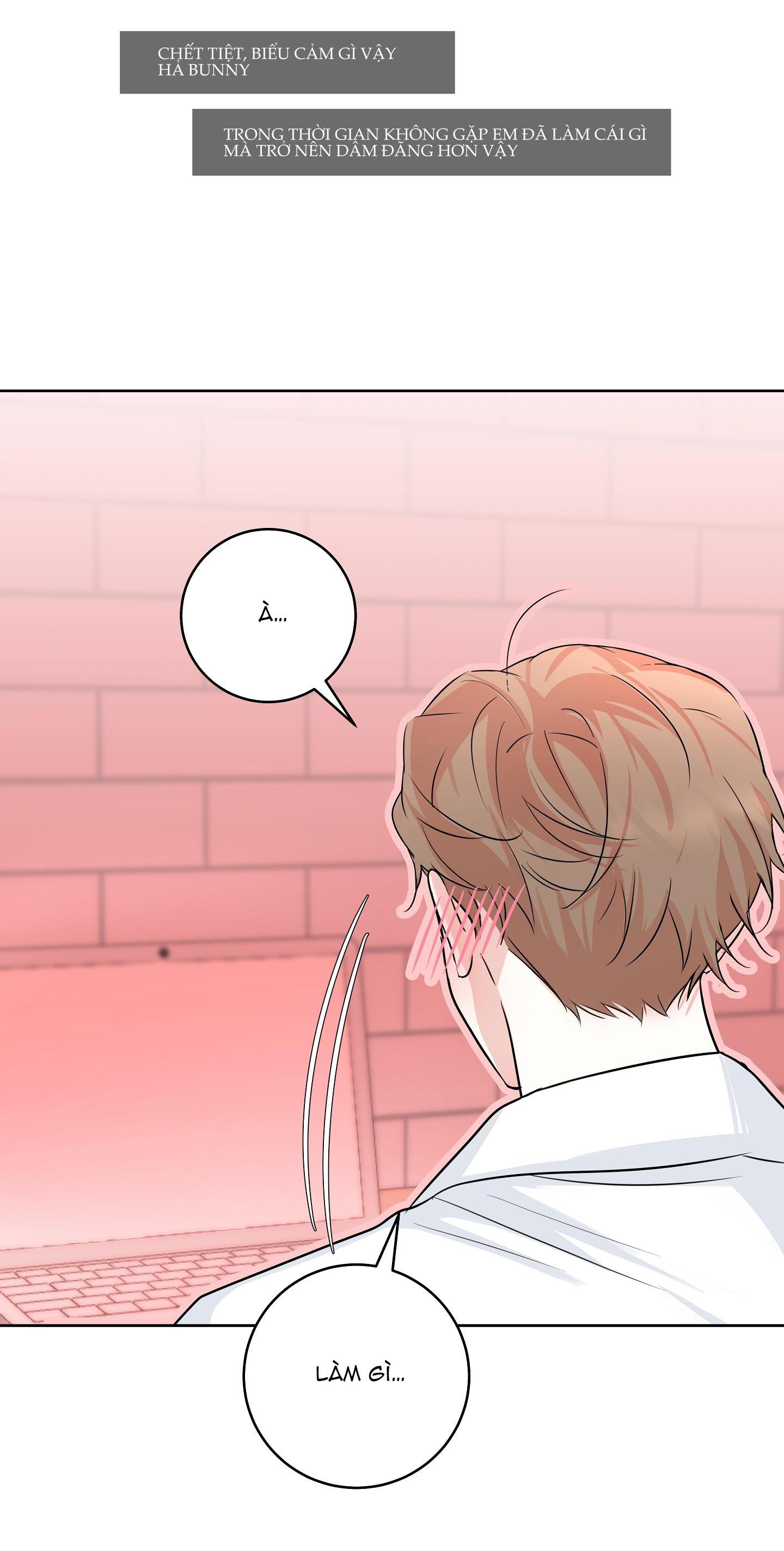 Đọc truyện CAMBOY BUNNY - Chapter 15