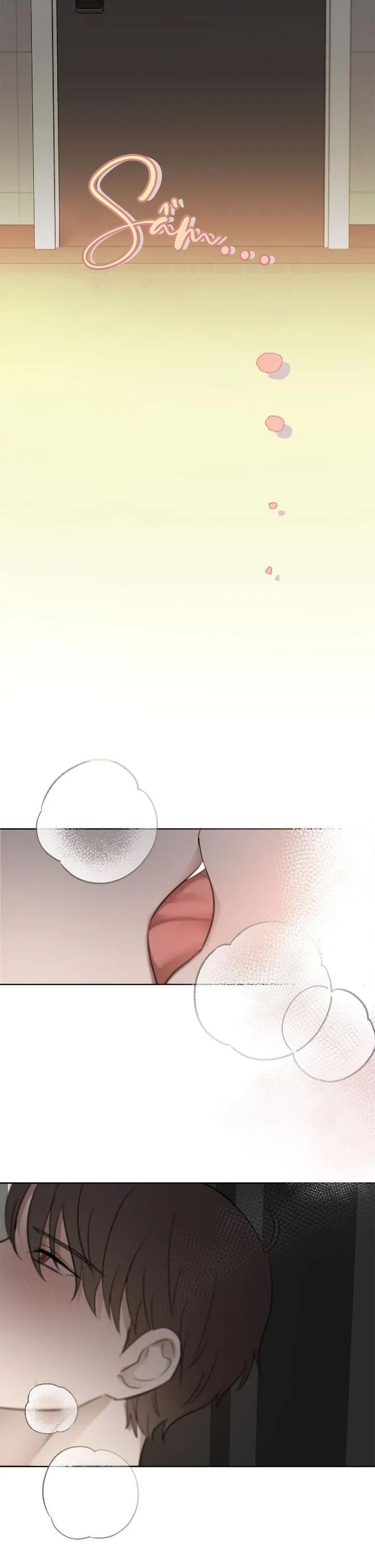 Đọc truyện Niềm An Ủi Ngày Chủ Nhật - Chapter 43