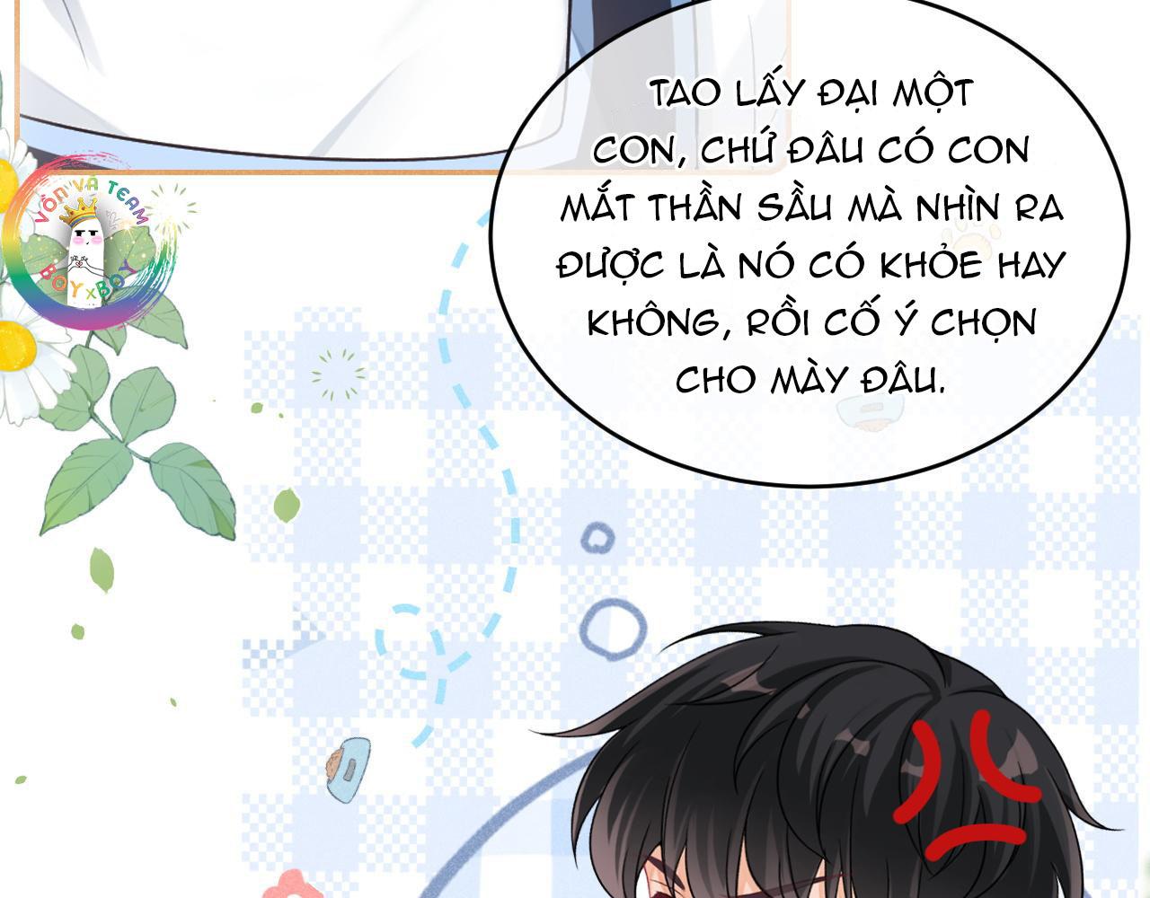 Đọc truyện Nam Thần Bá Đạo Cầu Xin Tôi Quay Lại (NGANG RAW) - Chapter 40