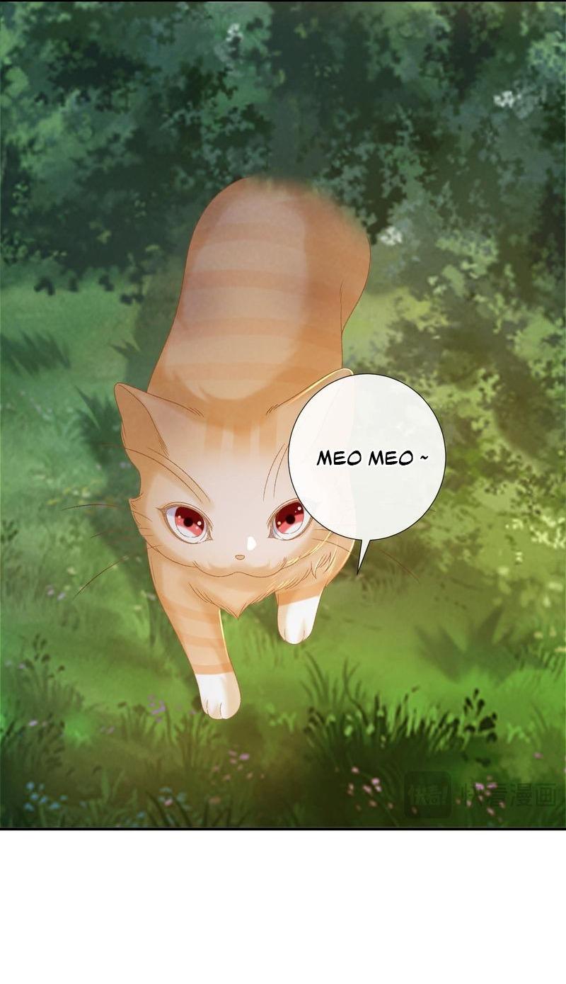 Đọc truyện CẠM BẪY CỦA KẺ BIẾN THÁI - Chapter 108