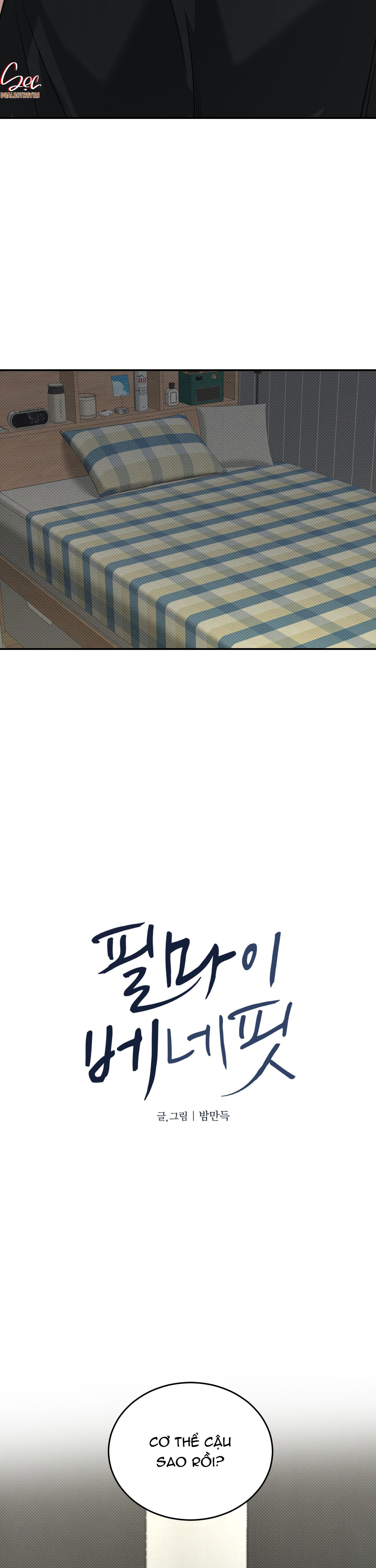 Đọc truyện (ABO) FEEL MY BENEFIT - Chapter 21