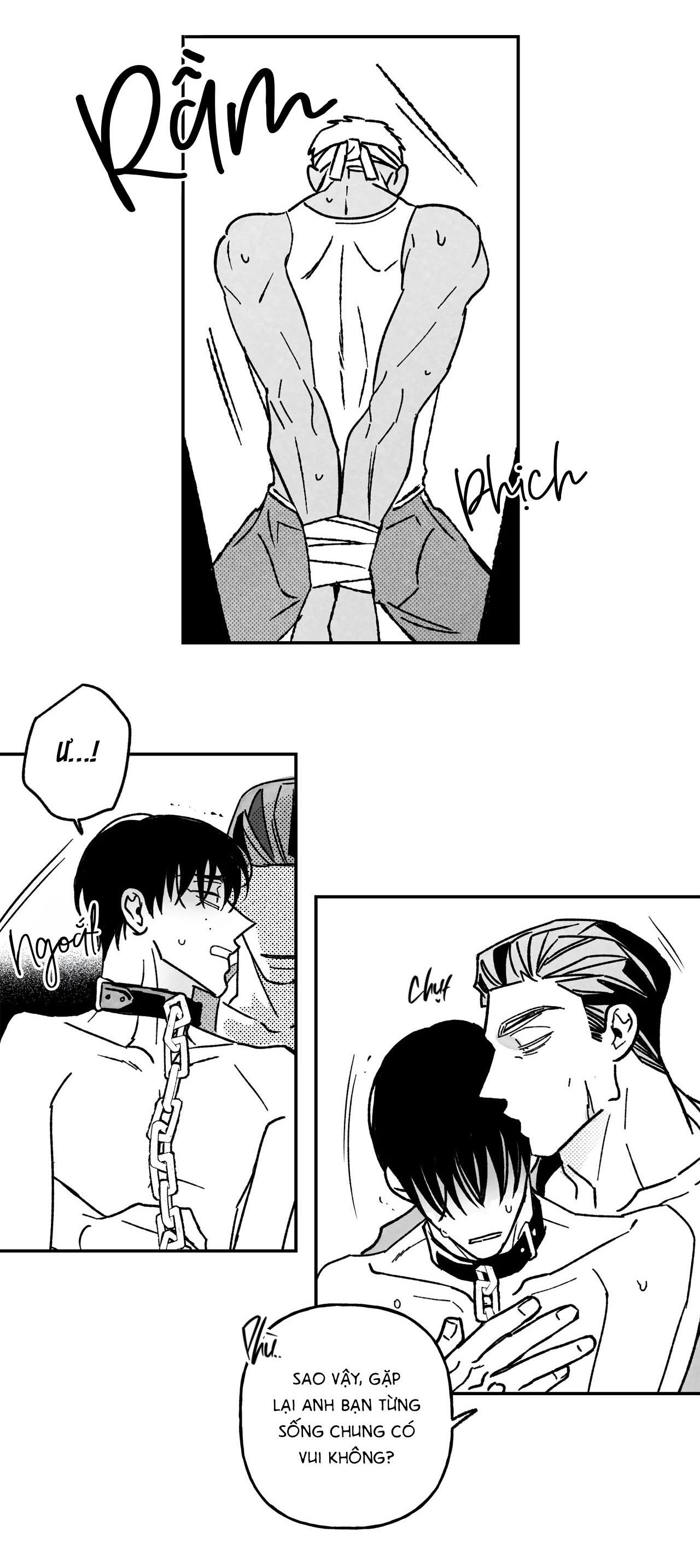 Đọc truyện Sự kết hợp hoàn hảo - Chapter 24