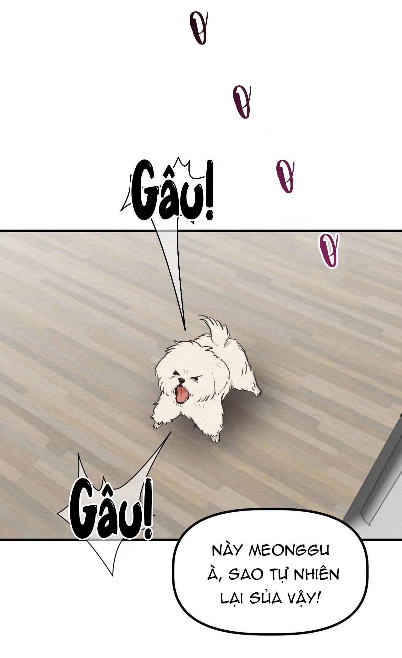 Đọc truyện ÁC MA ĐỈNH CẤP - Chapter 12