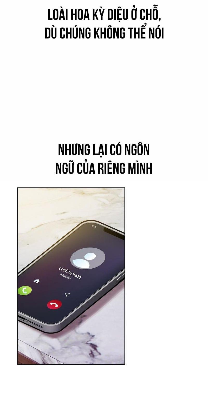 Đọc truyện Flower of youth - Chapter 2