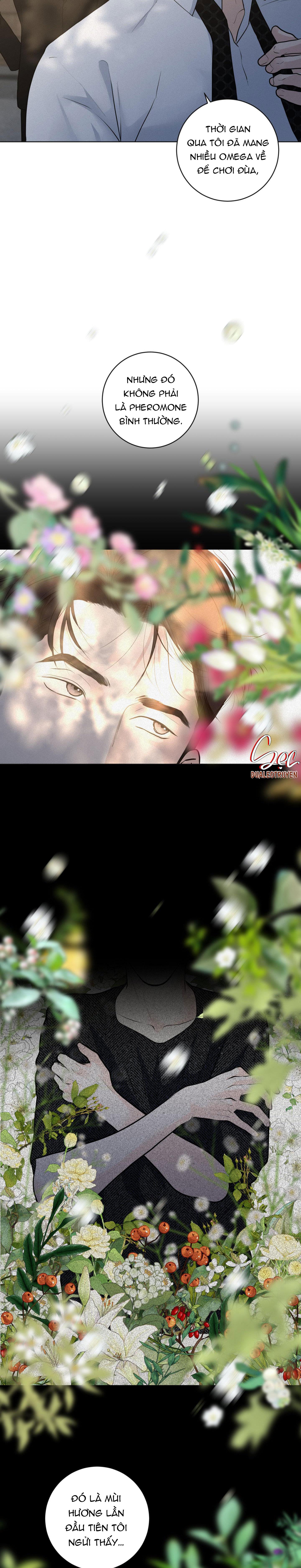 Đọc truyện (ABO) LỜI CẦU NGUYỆN - Chapter 35