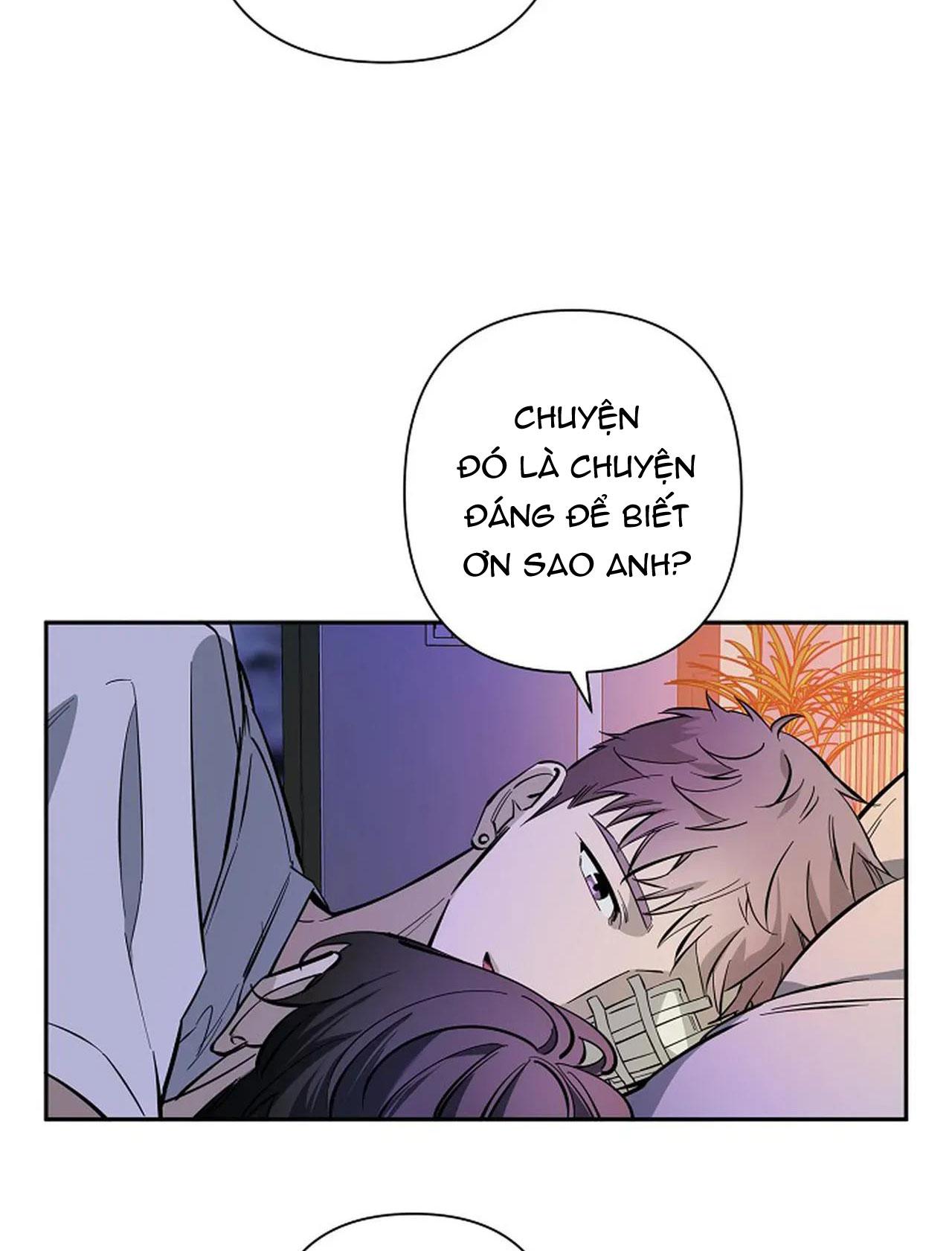 Đọc truyện ĐÊM DỊU DÀNG - Chapter 73